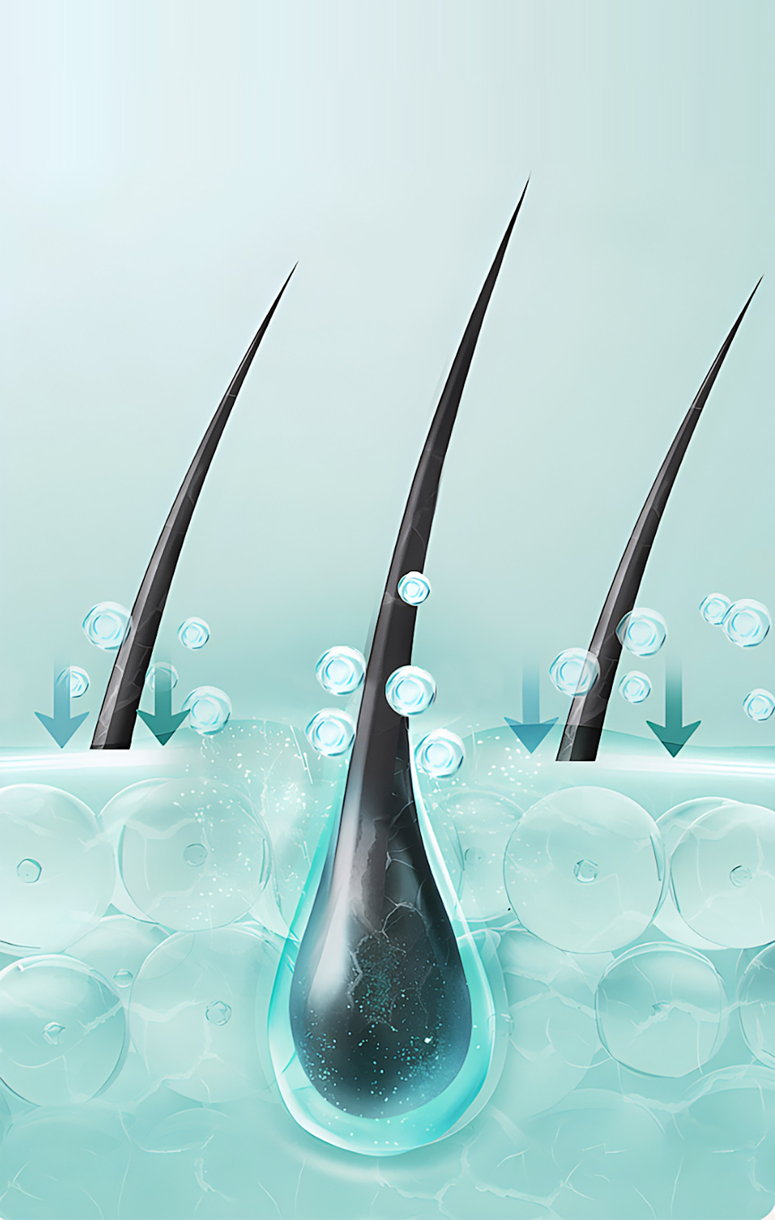 Các nghiên cứu về nang tóc & mô da