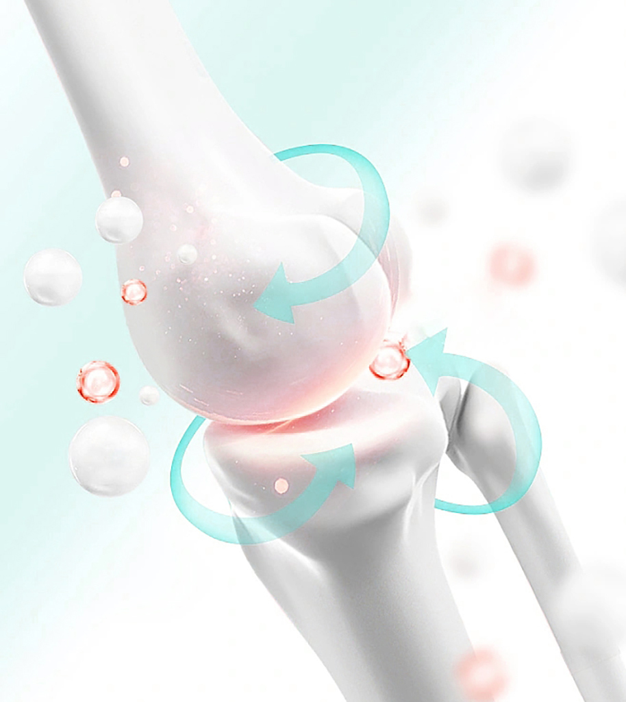 Nghiên cứu về mô liên kết & khớp